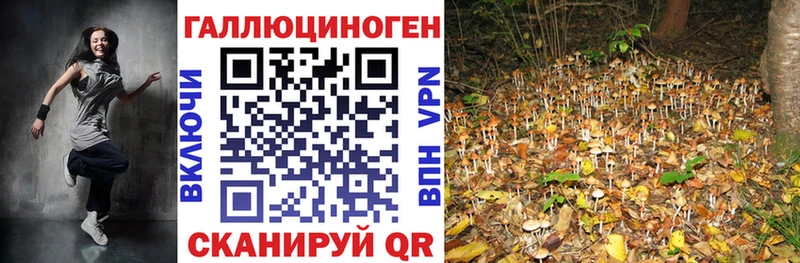 OMG ссылка хочу Омск Псилоцибиновые грибы ЛСД